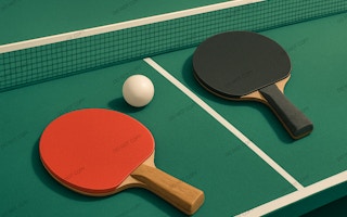 2d Ping Pong