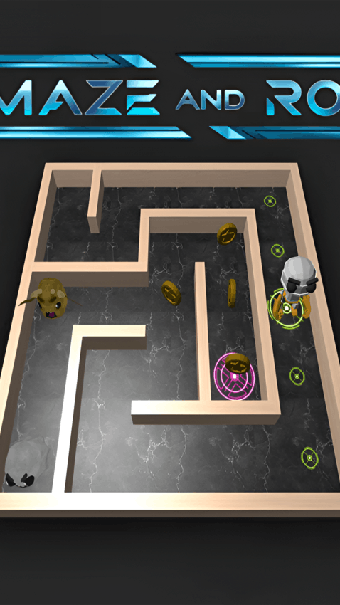 3D Maze And Robot