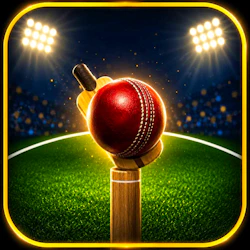 5TO20 Cricket