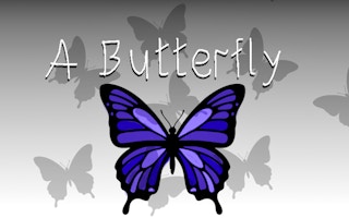 A Butterfly