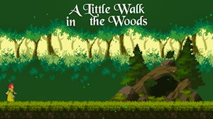 Image for A Little Walk in the Woods