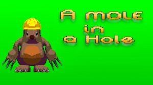 Image for A Mole in a Hole