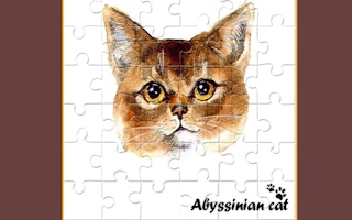 Abyssinian Puzzle Challenge game cover