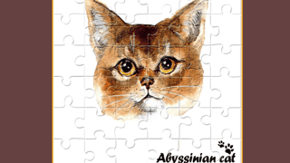 Abyssinian Puzzle Challenge game cover