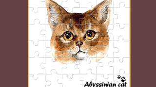 Abyssinian Puzzle Challenge