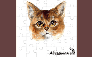 Abyssinian Puzzle Challenge game cover