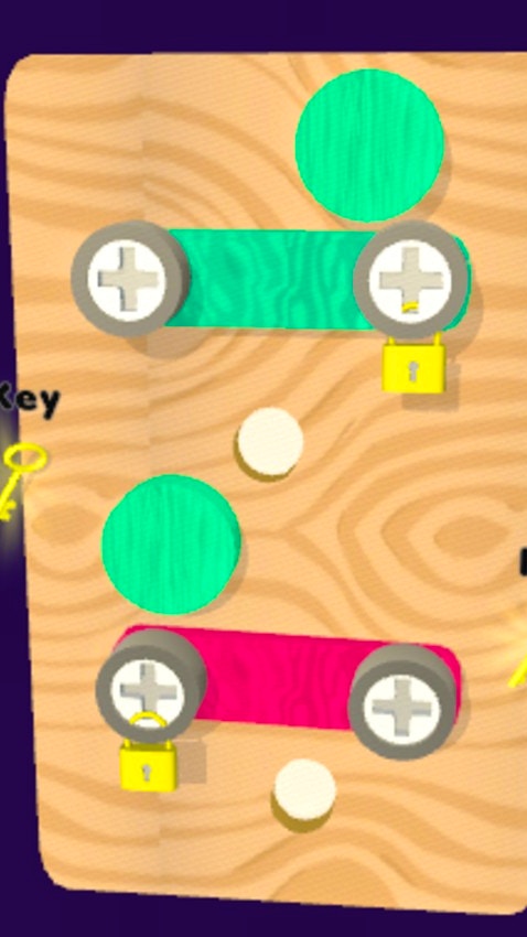 Adventure Screw Puzzle