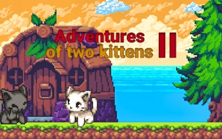 Adventures Of Two Kittens Ii game cover