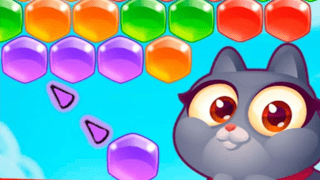 Adventures With Pets! Bubble Shooter game cover