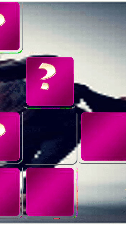 Aerial Silk Artist Memory Match