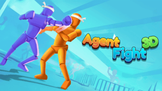 Agent Fight 3d