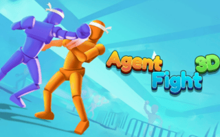 Agent Fight 3D