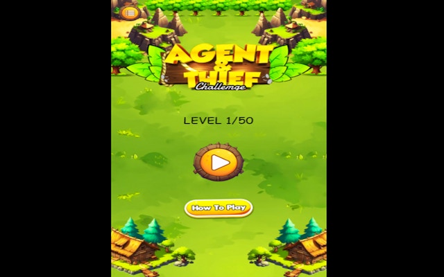 Agent Thief Challenge