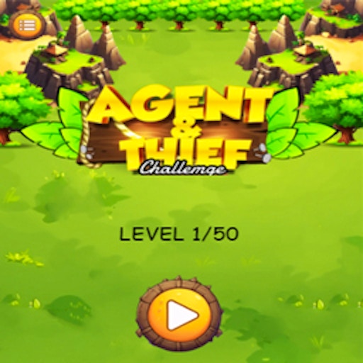 Agent & Thief Challenge