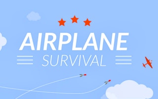 Airplane Survival game cover