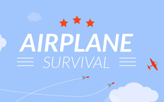 Airplane Survival game cover