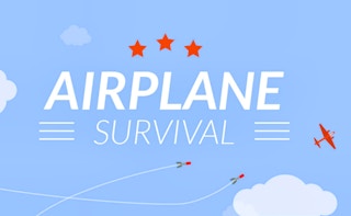 Airplane Survival game cover