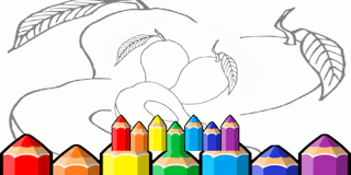 Amazing Fruit Pictures For Kids thumbnail