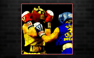 Angry Boxers Fight game cover