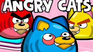 Image for Angry Cats