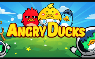 Angry Ducks game cover