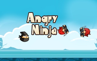 Angry Ninja game cover