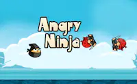 Angry Ninja