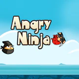 Angry Ninja