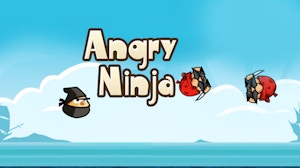 Image for Angry Ninja