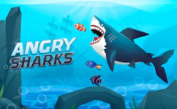 Angry Sharks