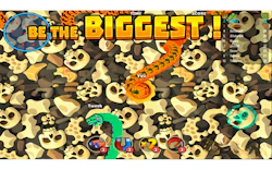Angry Snake