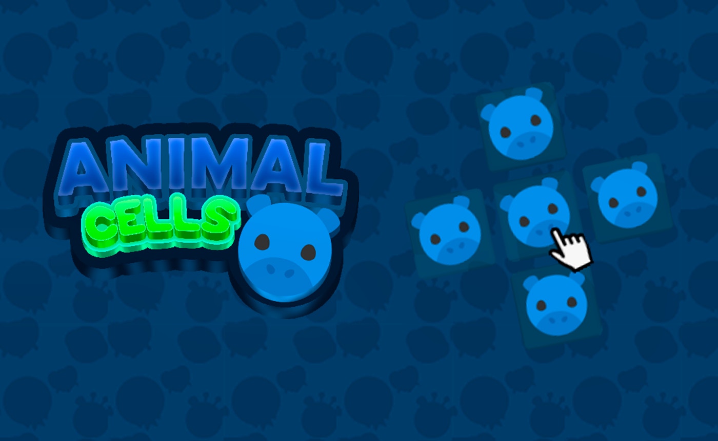 Animal Cells