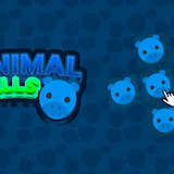 Animal Cells