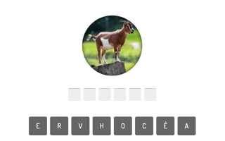 Animal Quiz game cover