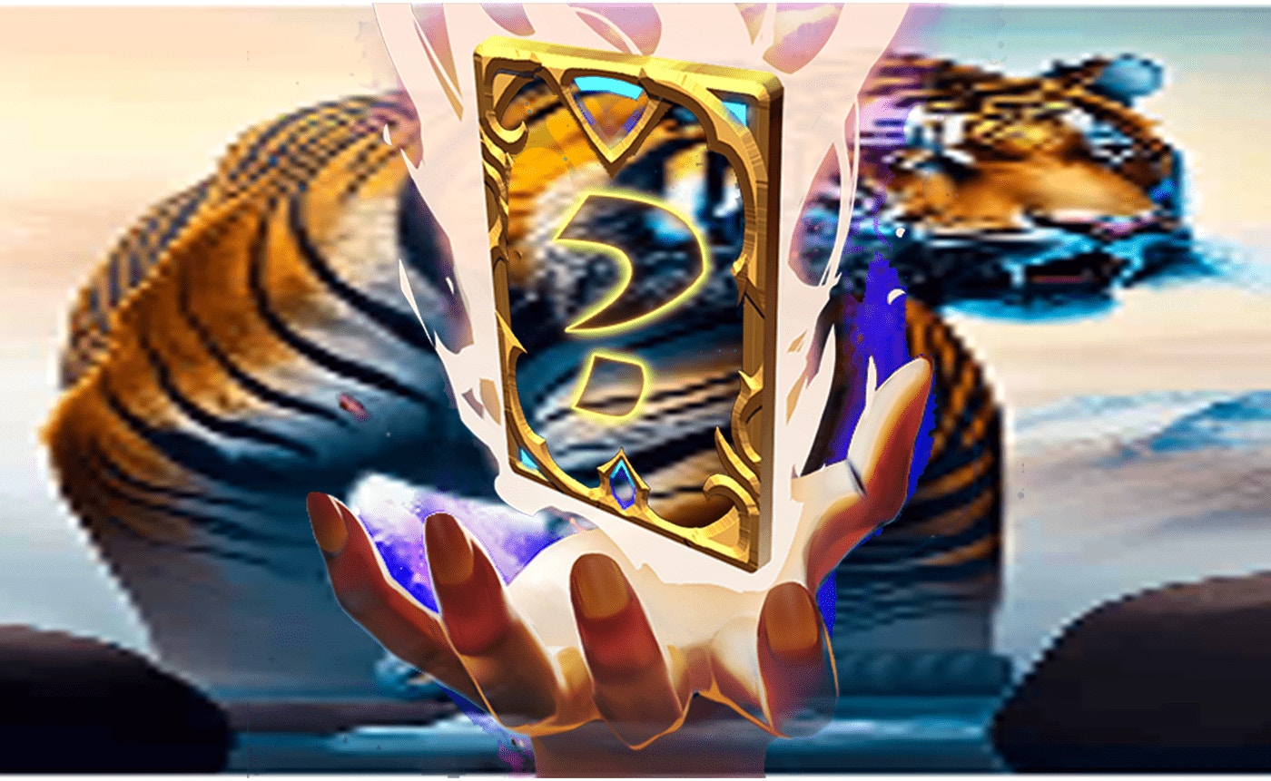 Animal Tiger Memory Match