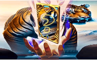 Animal Tiger Memory Match