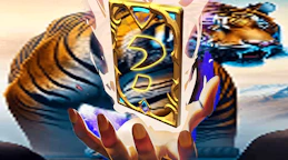 Animal Tiger Memory Match