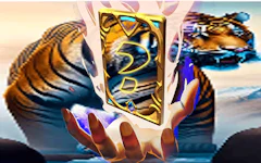 Animal Tiger Memory Match