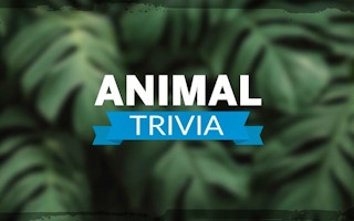 Animal Trivia