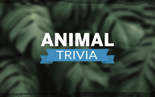 Animal Trivia game cover