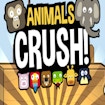 Animals Crush!