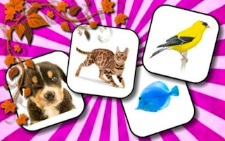 Animals Memory Game