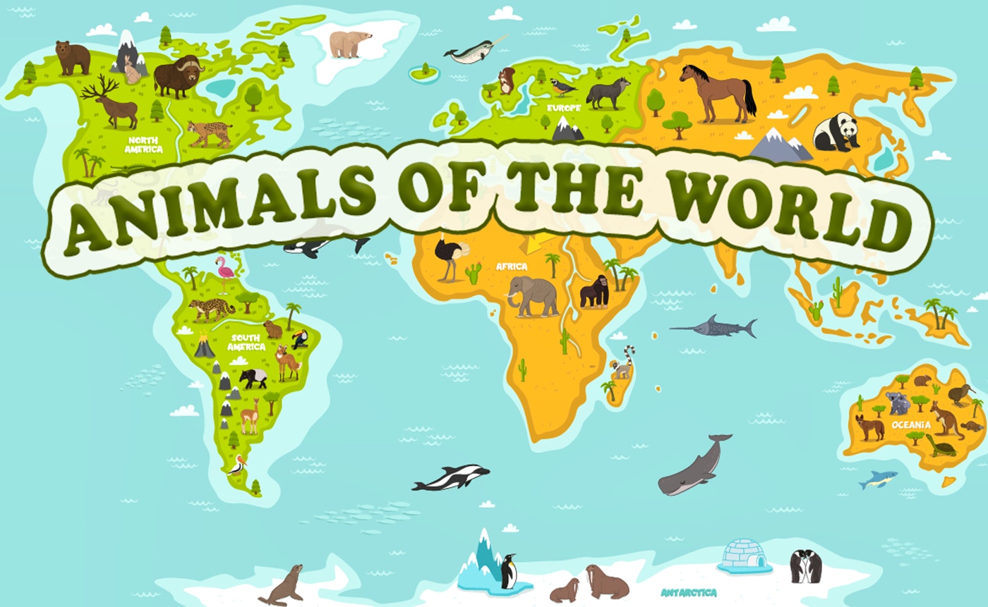 Animals of the World