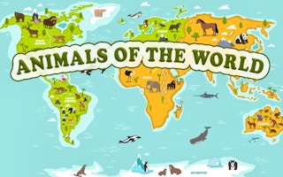 Animals Of The World game cover