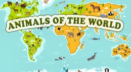 Animals of the World