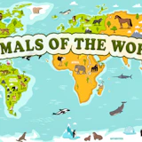 Animals of the World