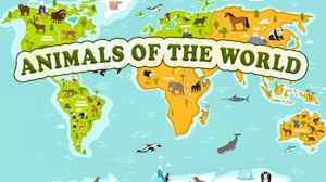 Image for Animals of the World