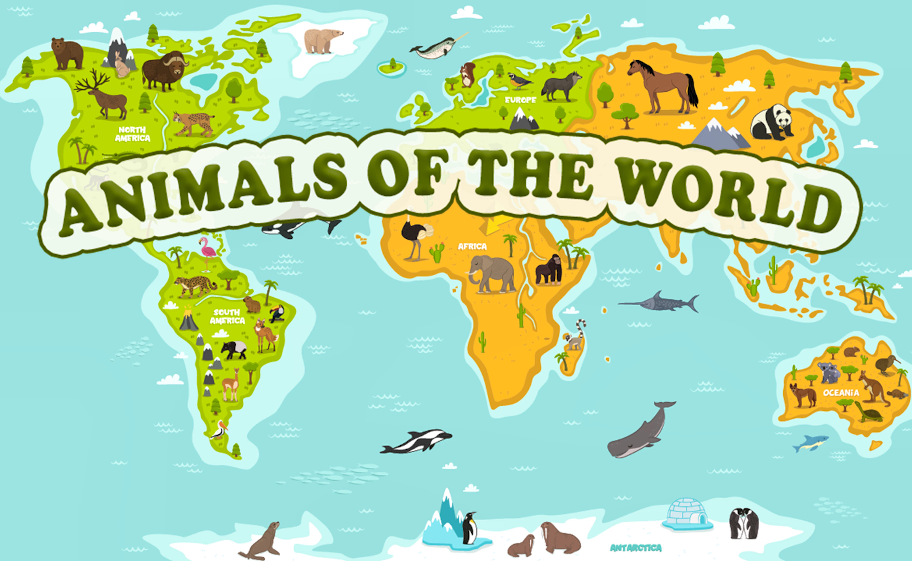 Animals of the World