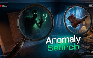 Anomaly Search