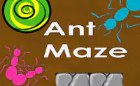 Ant Maze
